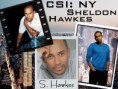 /album/hill-harper/csi-ny-wallpapers-csi-ny-6061320-800-600-jpg/