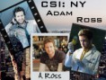/album/aj-buckley/csi-ny-wallpaper-csi-ny-5716360-800-600-jpg/